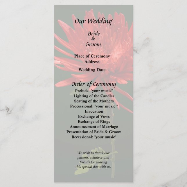 Programa Mãe Aranha Vermelha (Frente)