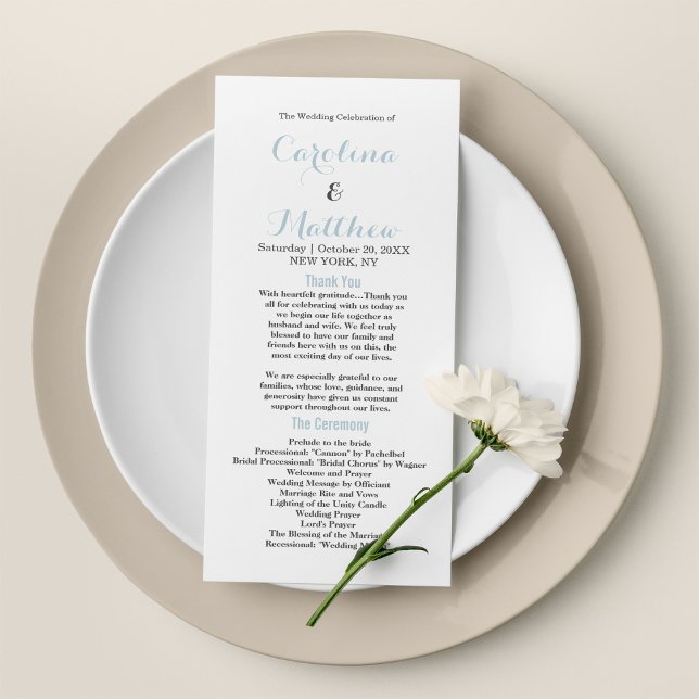 Programa moderno simples e elegante, azul pastel a (Simple elegant white pastel blue modern Program)
