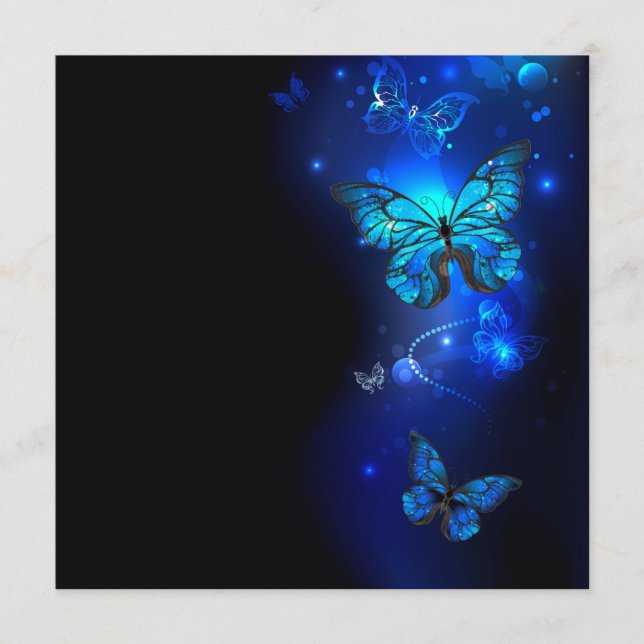 Programa Morpho Butterfly in the Dark Background (Frente)