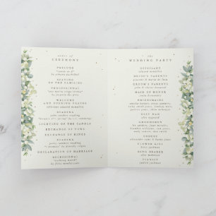 Programa Neve verde/creme + Eucalipto Casamento de Inverno