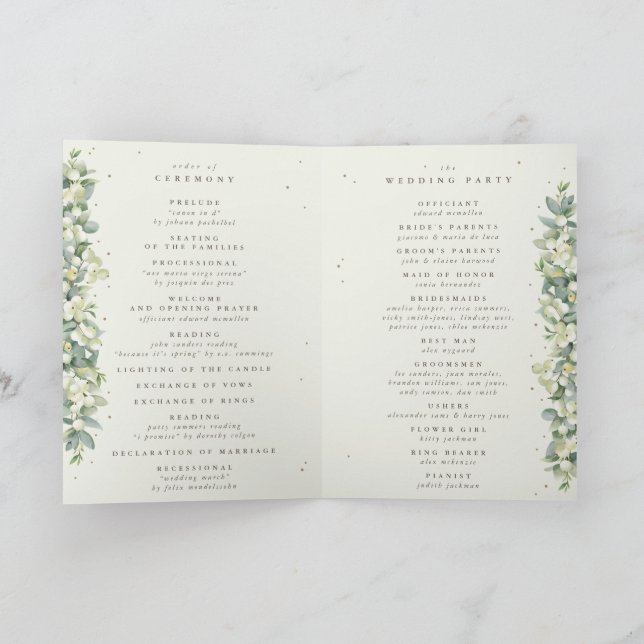 Programa Neve verde/creme + Eucalipto Casamento de Inverno (Interior)