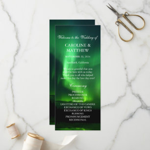 Programa Norte Luzes Aurora Borealis Casamento