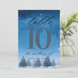 Programa Número da Tabela de Casamento de Neve de inverno