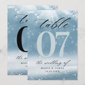Programa Número de Mesa Casamento Neve de Inverno