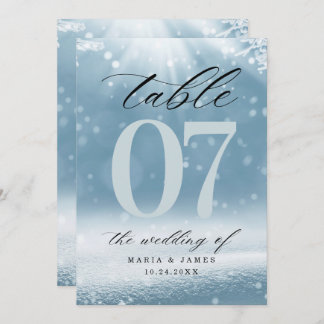 Programa Número de Mesa de Casamento de Neve de Inverno