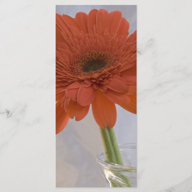 Programa Orange Daisy in Vase Wedding (Frente)