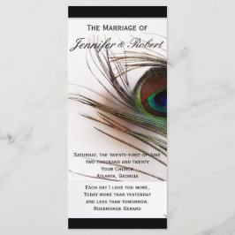 Programa Pacock Feather Casding