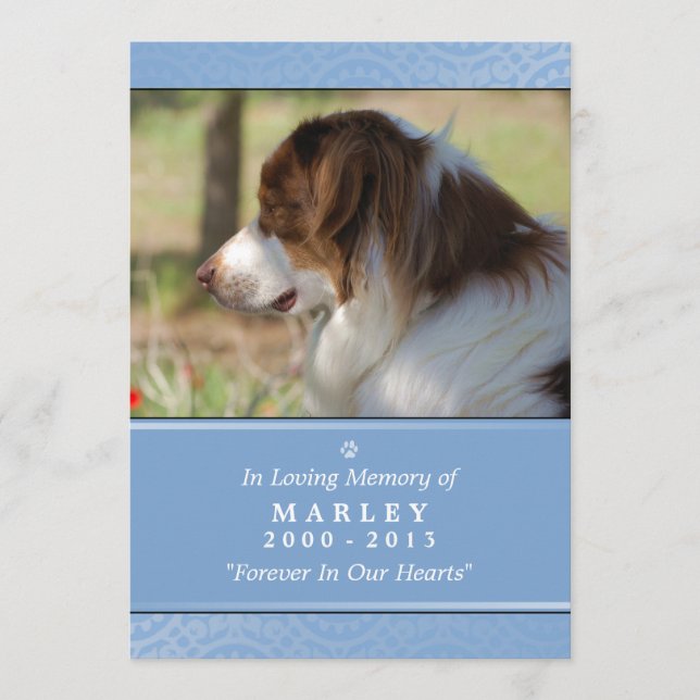 Programa Pet Memorial 5x7 Azul Claro Poema De Contentação (Frente)
