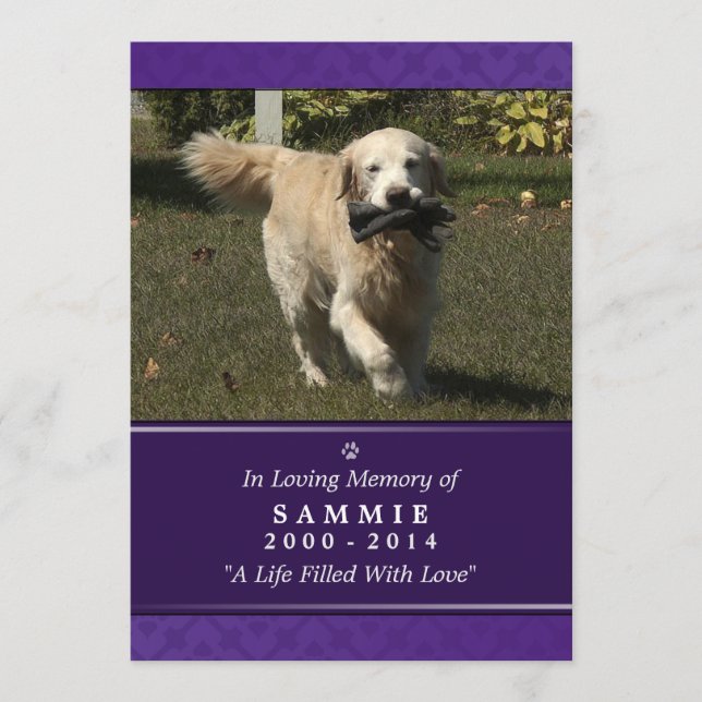 Programa Pet Memorial Card 5"x7" Foto Roxa - Pet Masculino (Frente)