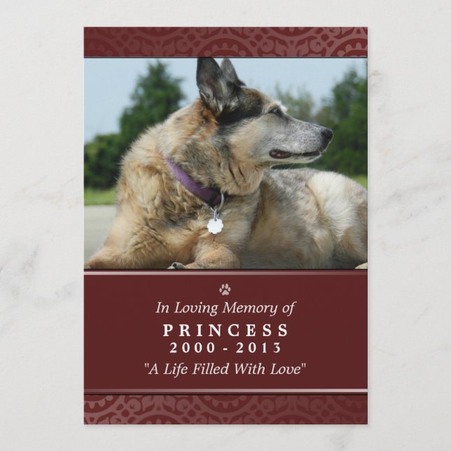 Programa Pet Memorial Card 5"x7" Rainbow Bridge (Masculino) (Frente)