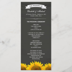 Programa Placas De Calçados Elegantes Para Girassóis