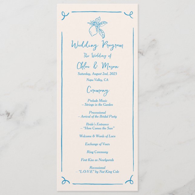 Programa Plano de Limão Desenhado à Mão (Frente)