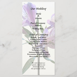 Programa Purple Peruvian Lily