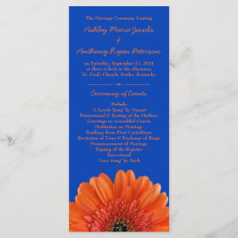 Programa Real Blue Casamento Laranja Daisy Flower