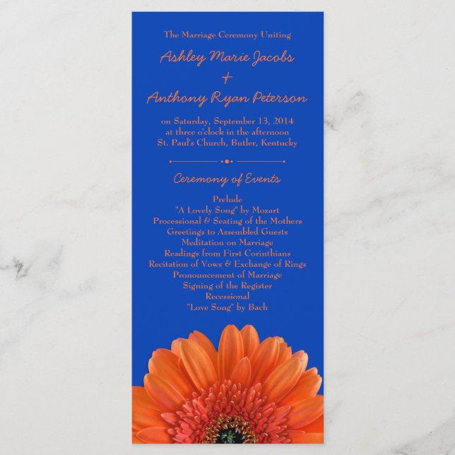 Programa Real Blue Casamento Laranja Daisy Flower (Frente)