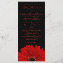 Red Gerbera Daisy Flower Black Wedment