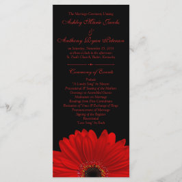 Programa Red Gerbera Daisy Flower Black Wedment