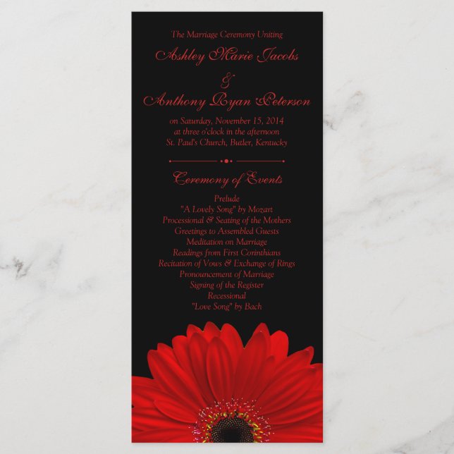 Programa Red Gerbera Daisy Flower Black Wedment (Frente)