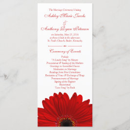 Programa Red Gerbera Daisy Flower White Wedment Program