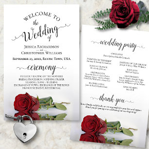 Programa Romântico de Casamento do Orçamento da