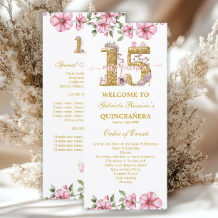 Programa Rosa Corado Dourado Mis Quince Quiñceanera