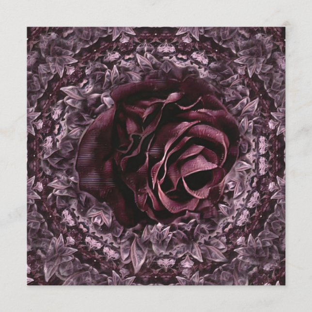 Programa Rosa Mandala (Frente)