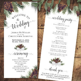 Programa Rústico Pinecones e Pinheiro Branches Elegantes