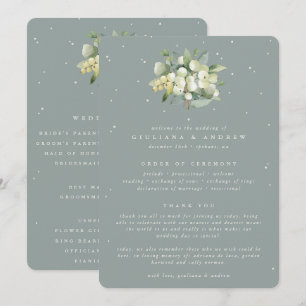 Programa Seafoam Green Snowberry+Eucalyptus Buquê Weding