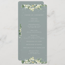 Programa Seafoam Green Snowberry+Eucalyptus Casamento no in