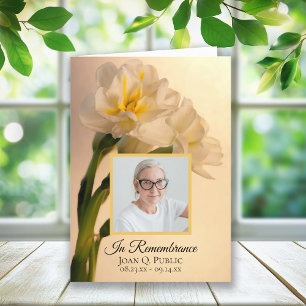 Programa Serviço Funeral Daffodils Duplos Branco Dobrado