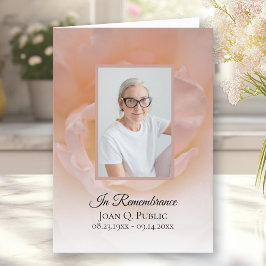 Programa Serviço Funerário Petal Da Flor Rosa Rosa Rosa Pál