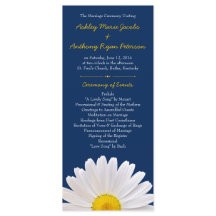 Programa Shasta Daisy Flower Yellow Casamento