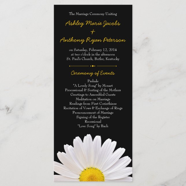 Programa Shasta Daisy Flower Yellow Casamento (Frente)