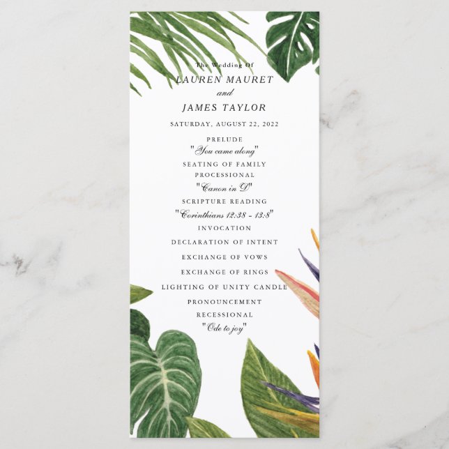 Programa Sonho tropical (Frente)