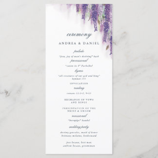 Programa Sonhos de Wisteria