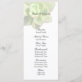 Programa Translúcido de Casamento Branco Suculento