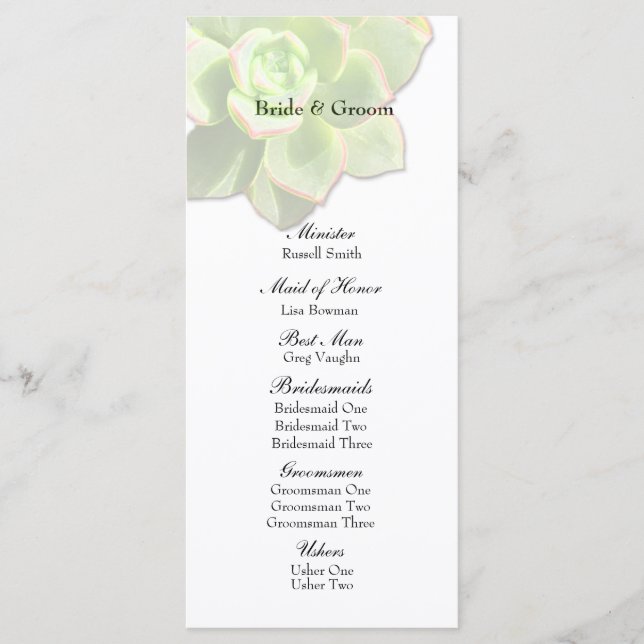 Programa Translúcido de Casamento Branco Suculento (Frente)