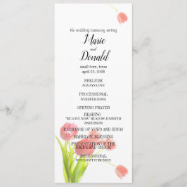 Programa Tulipas Rosa Suaves