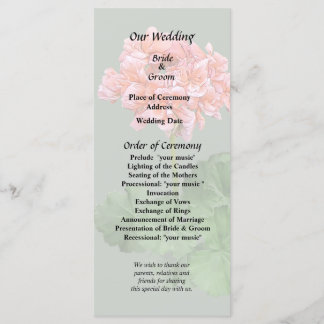 Programa Um Geranium Rosa