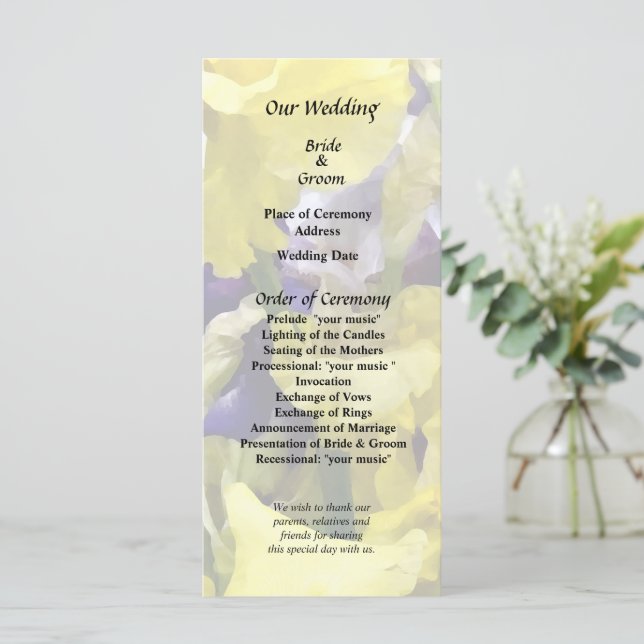 Programa Variedade de Íris Amarelo e Roxo (Em pé/Frente)