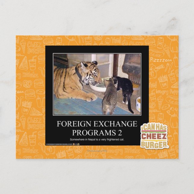 Programas cambiais 2 (Frente)