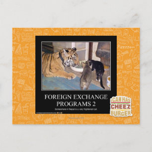 Programas cambiais 2