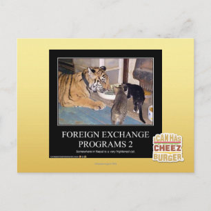 Programas cambiais 2