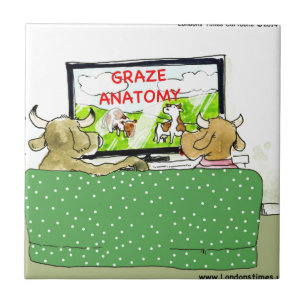 Programas de TV de Vaca Cartoon Engraçado