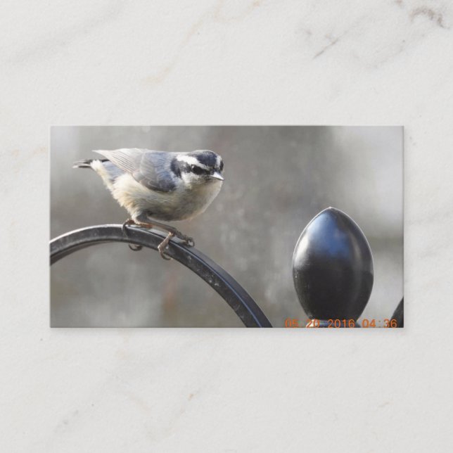 Projete seus próprios cartões de visitas (Frente)