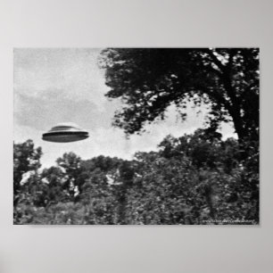 Projeto Blue Book-UFO sobre Poster de Árvores