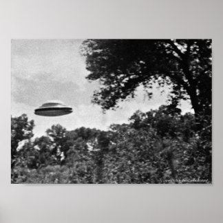 Projeto Blue Book-UFO sobre Poster de Árvores