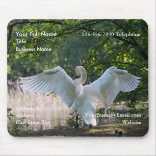 Promeção do Cisne Foto para Mousepad
