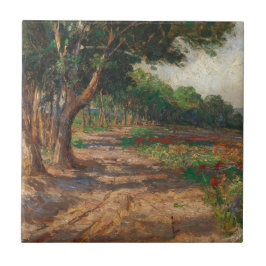 Promenade em Euxinograd com revestimento de Elm