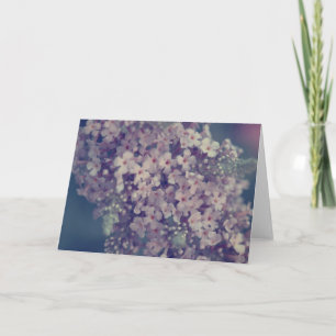 Promessa 2 Fotografia de Flor de Lilás em Cartão